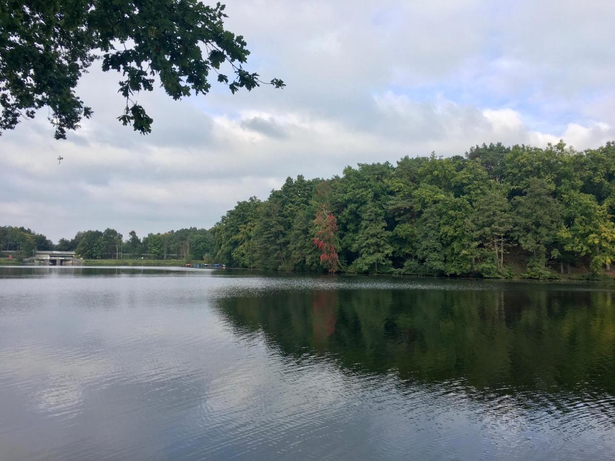 Ferienwohnungen Heideidylle Amelinghausen Esterno foto