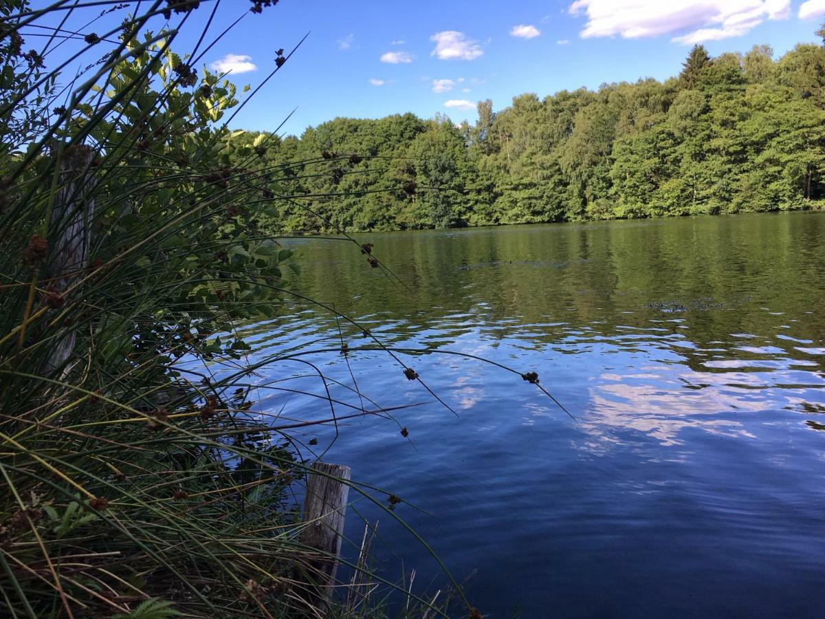Ferienwohnungen Heideidylle Amelinghausen Esterno foto
